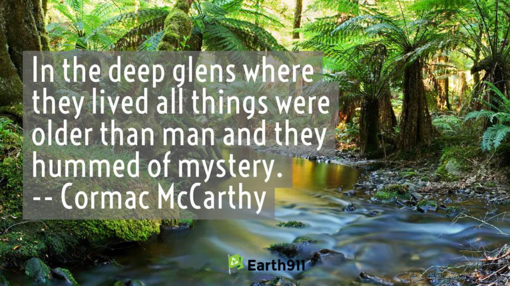 "In the deep glens where they lived all things were older than man and they hummed of mystery." -- Cormac McCarthy