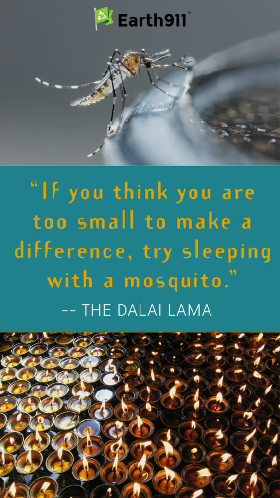 "If you think you are too small to make a difference, try sleeping with a mosquito." -- The Dalai Lama