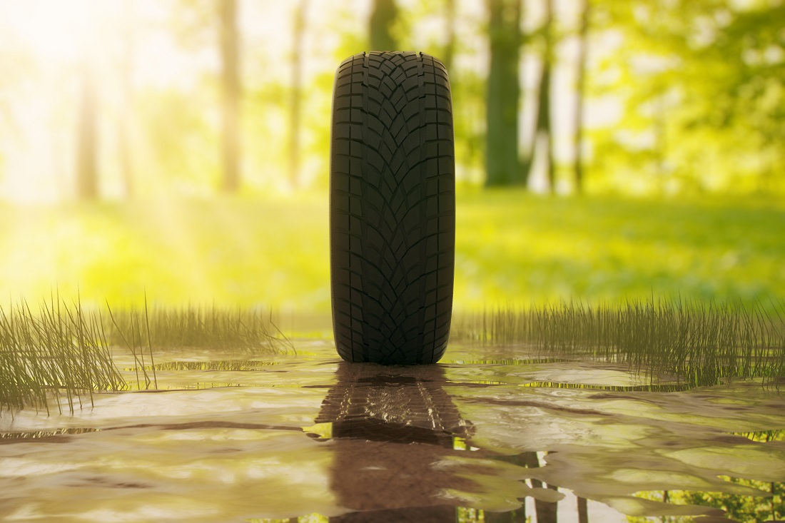 solitary tire outside in nature