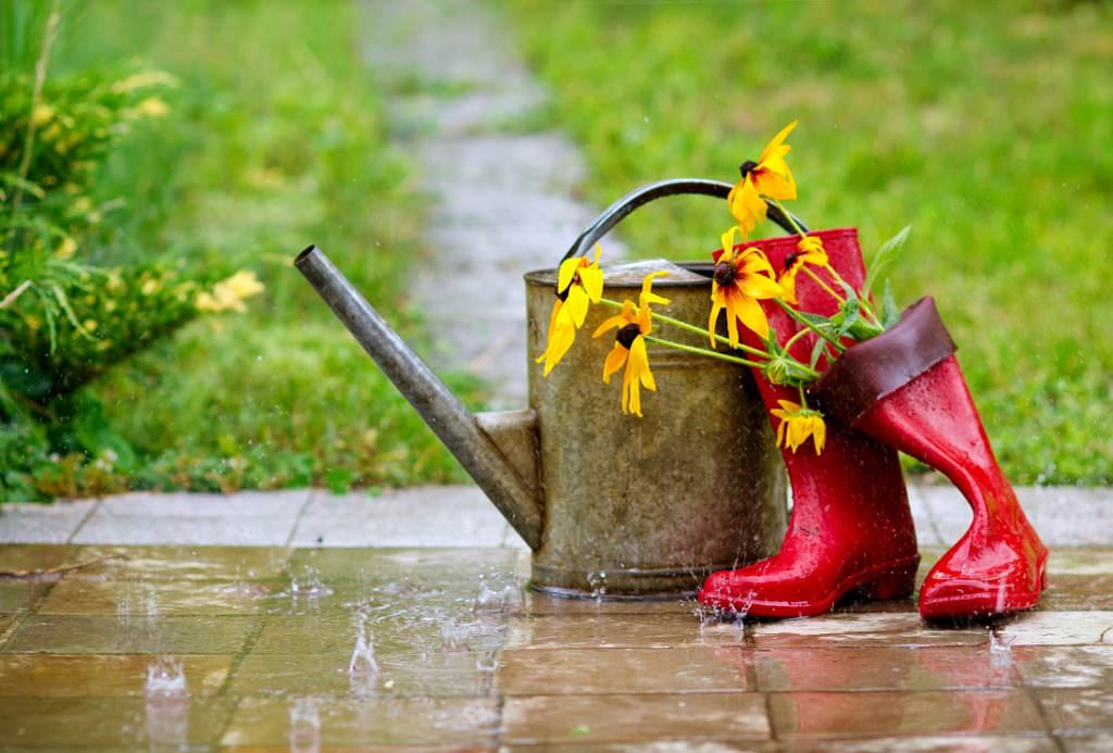 Rain water falling on red rain boots and watering can