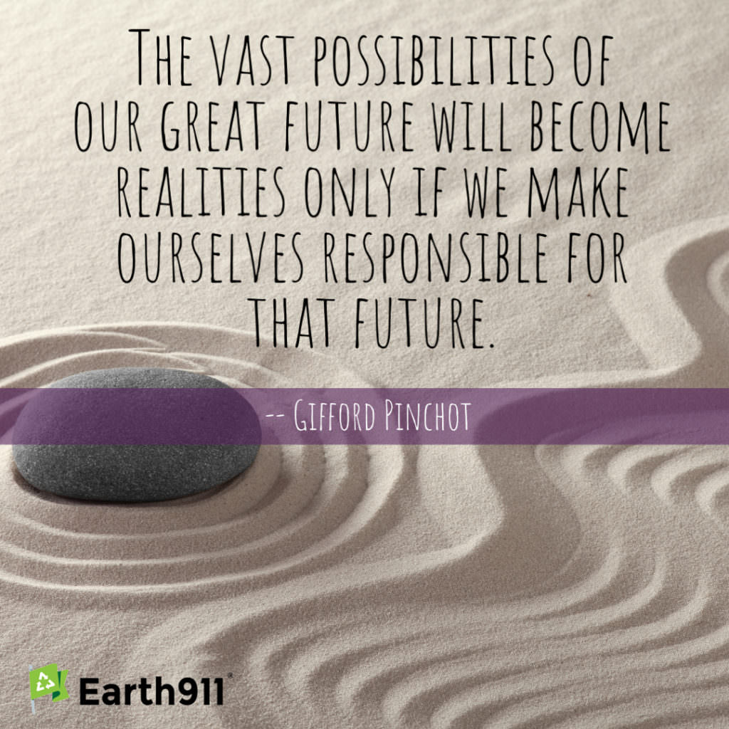 The vast possibilities of our great future will become realities only if we make ourselves responsible for that future. --Gifford Pinchot