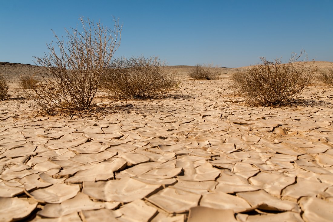 Land degradation, desertification in the Red Sea governorate in Marsa Alam, Egypt
