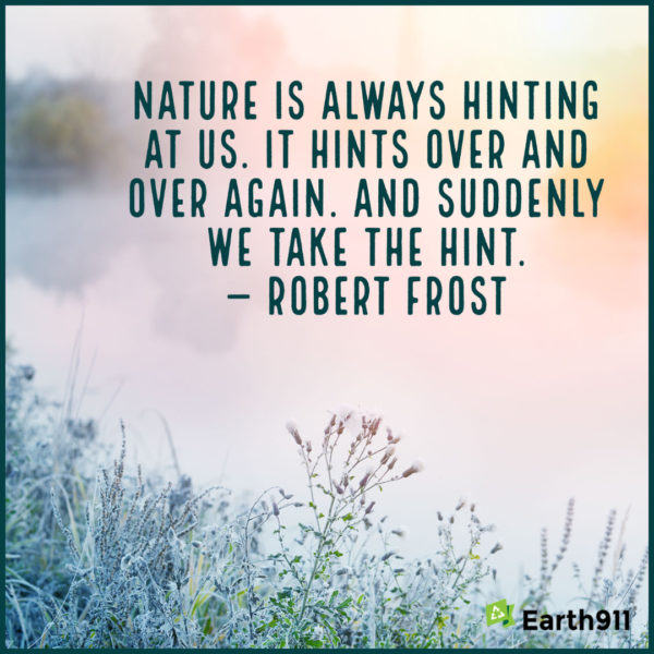 Quote from Robert Frost