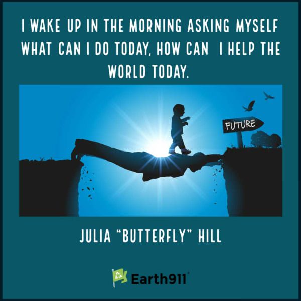 Julia "Butterfly" Hill quote