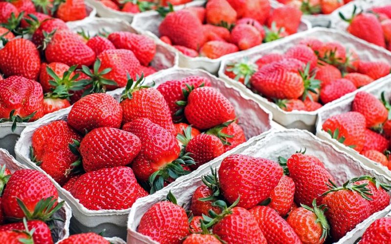 fresh berries on display in market