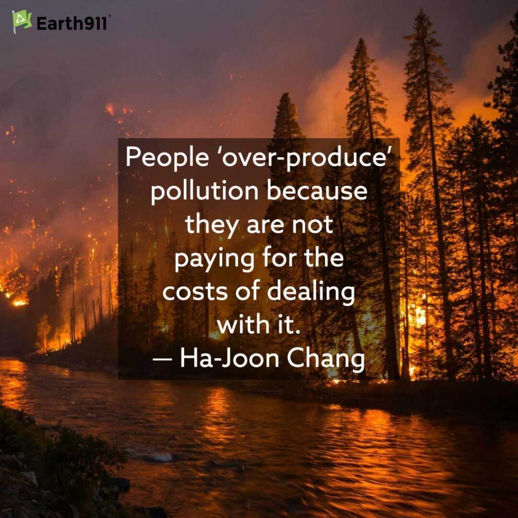 Ha-Joon Chang quote on the costs of dealing with pollution.