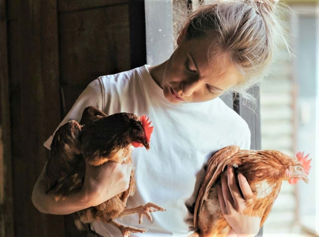 woman holding chickens in her arms
