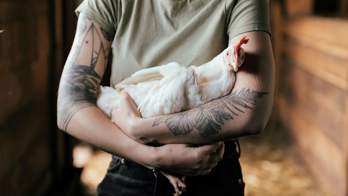 woman holding chicken