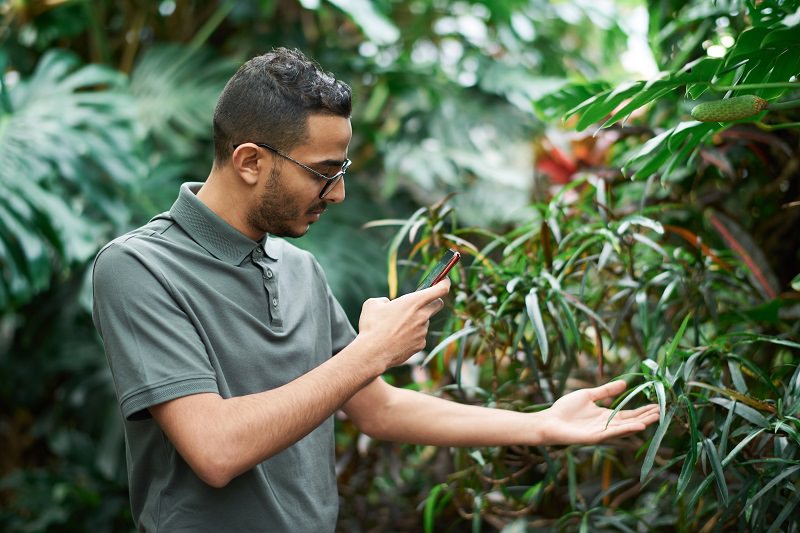 young man photographs plant with smartphone
