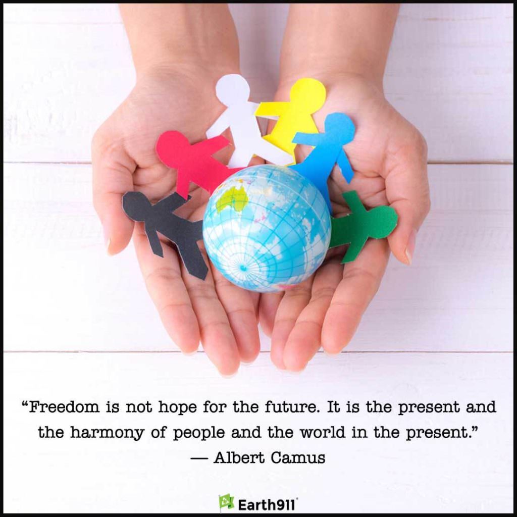 "Freedom is not hope for the future. It is the present and the harmony of people and the world in the present." --Albert Camus
