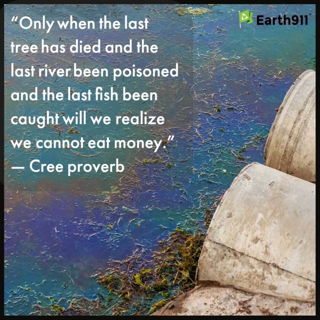 "Only when the last tree has died and the last river been poisoned and the last fish been caught will we realize we cannot eat money." --Cree proverb