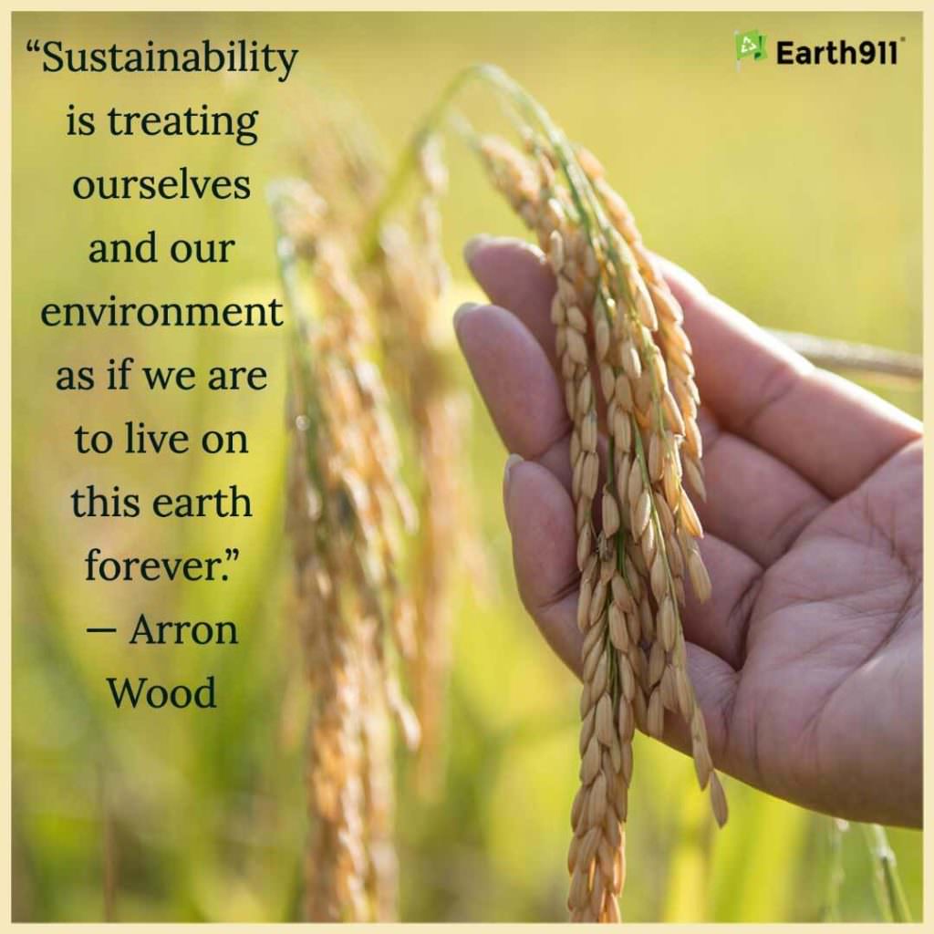 "Sustainability is treating ourselves and our environment as if we are to live on this earth forever." --Arron Wood