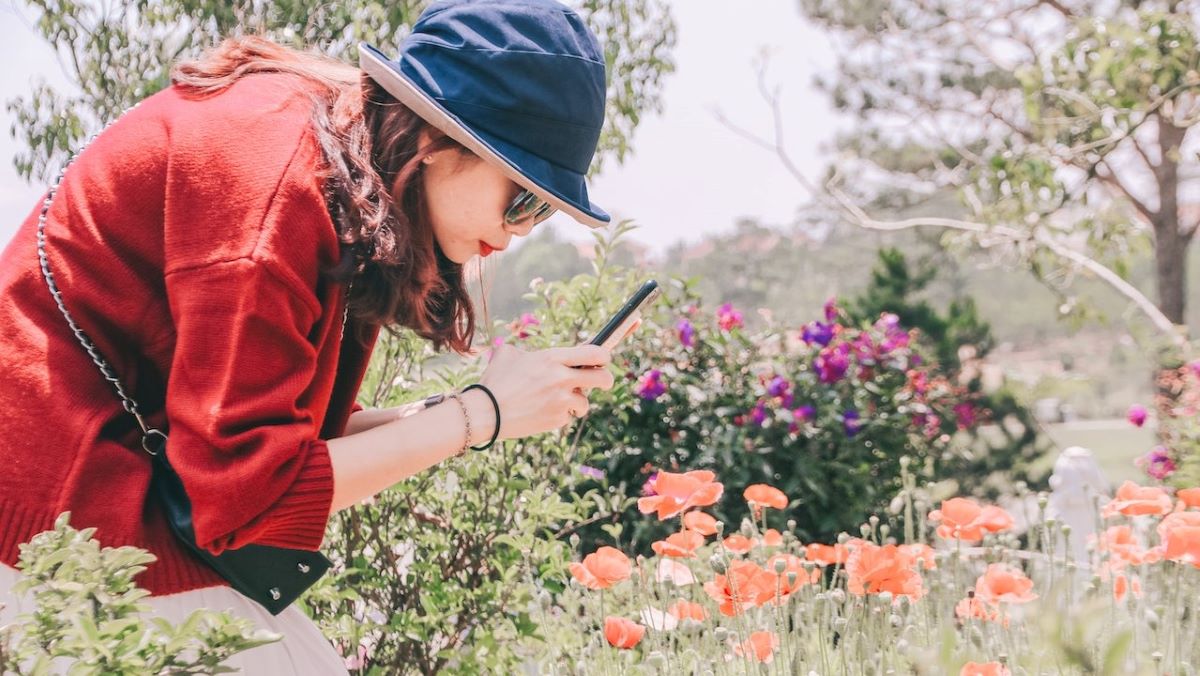 woman photographing flower with smartphone