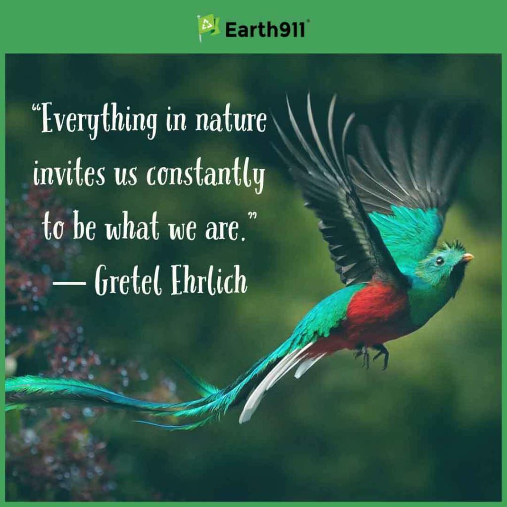 "Everything in nature invites us constantly to be what we are." -- Gretel Ehrlich