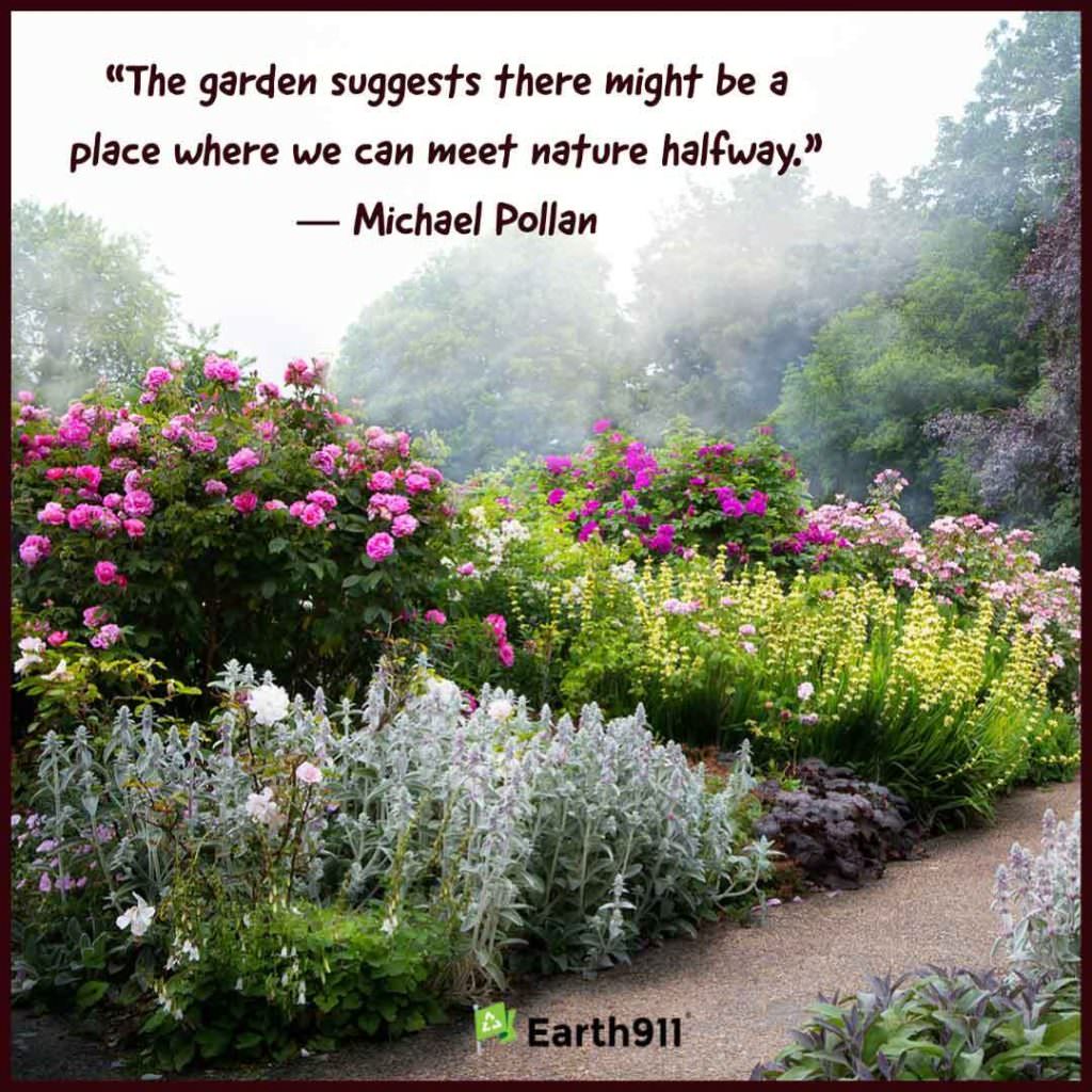 "The garden suggests there might be a place where we can meet nature halfway." --Michael Pollan