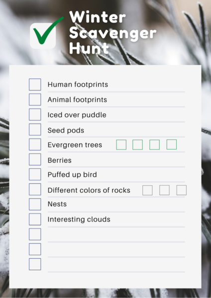 Winter Scavenger Hunt: Checklist