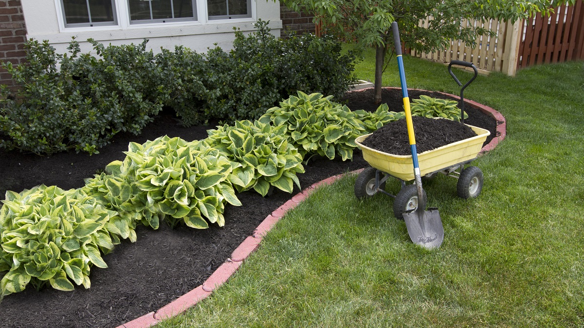 Mulching yard borders with compost