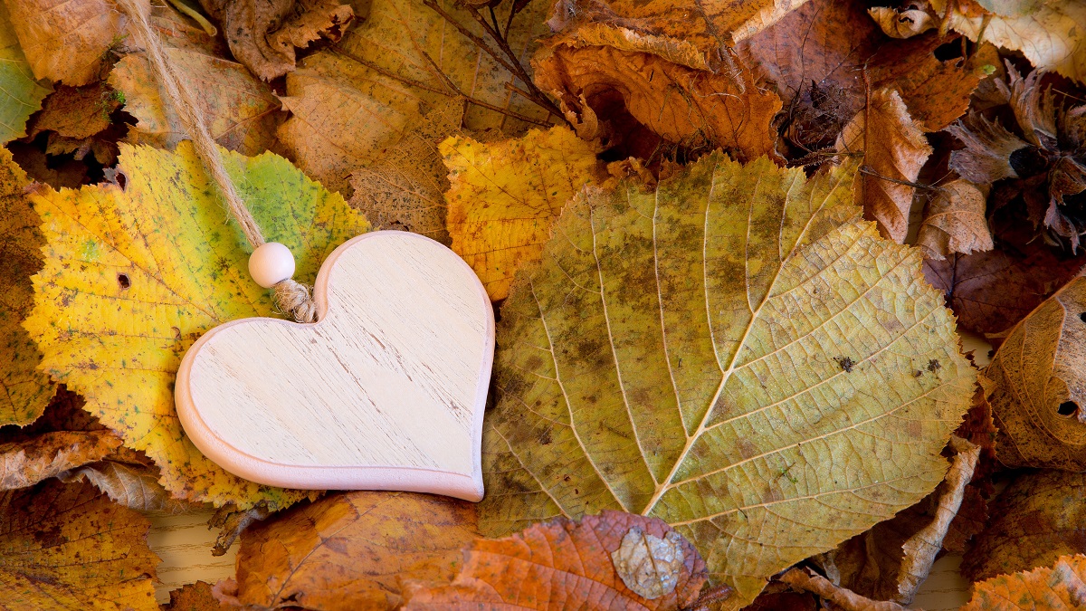 wooden heart resting on fallen leaves