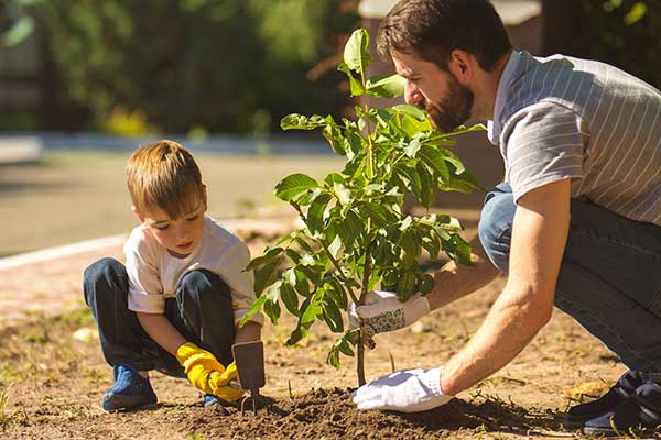 man and boy planting a tree together