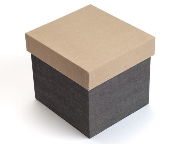 Cardboard storage box