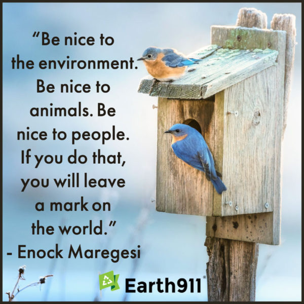"Be nice to the environment. Be nice to animals. Be nice to people. If you do that, you will leave a mark on the world." --Enock Maregesi