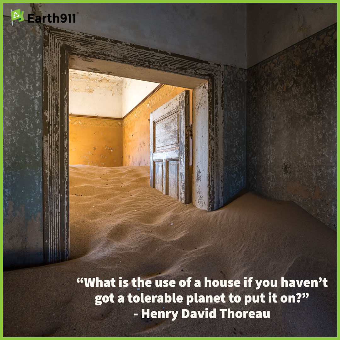 "What is the use of a house if you haven't got a tolerable planet to put it on?" --Henry David Thoreau