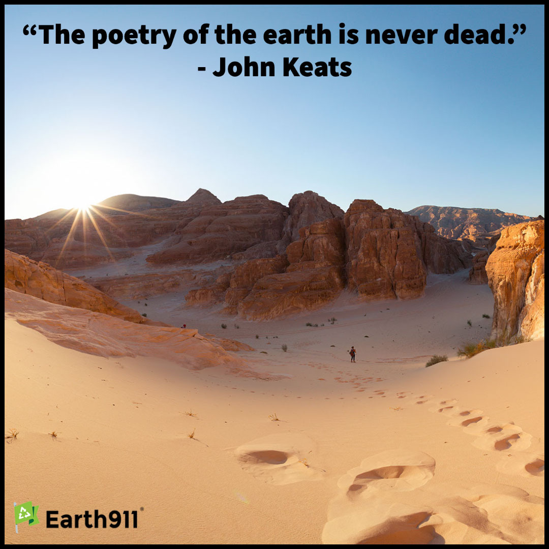 "The poetry of the earth is never dead" --John Keats