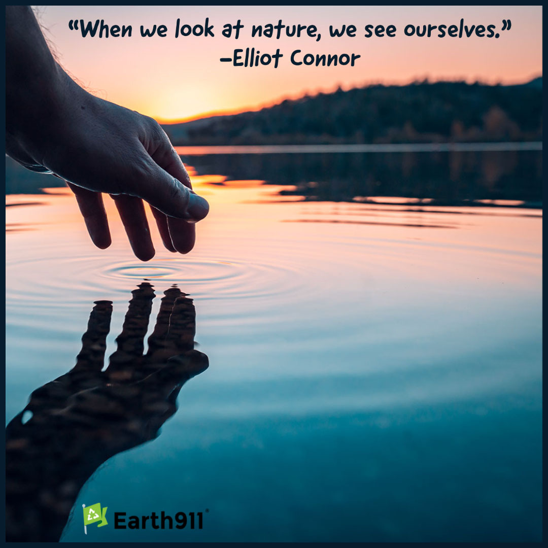 "When we look at nature, we see ourselves." --Elliot Connor