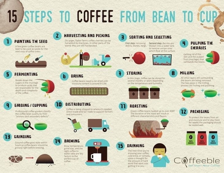 15 Steps to Coffee From Bean to Cup