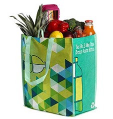 Earthwise Reusable Grocery Bag (5-pack)