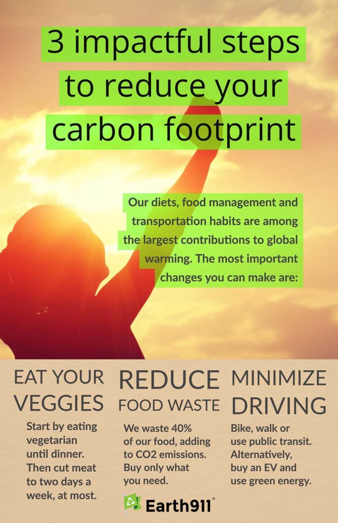 3 Impactful Steps To Reduce Your Carbon Footprint