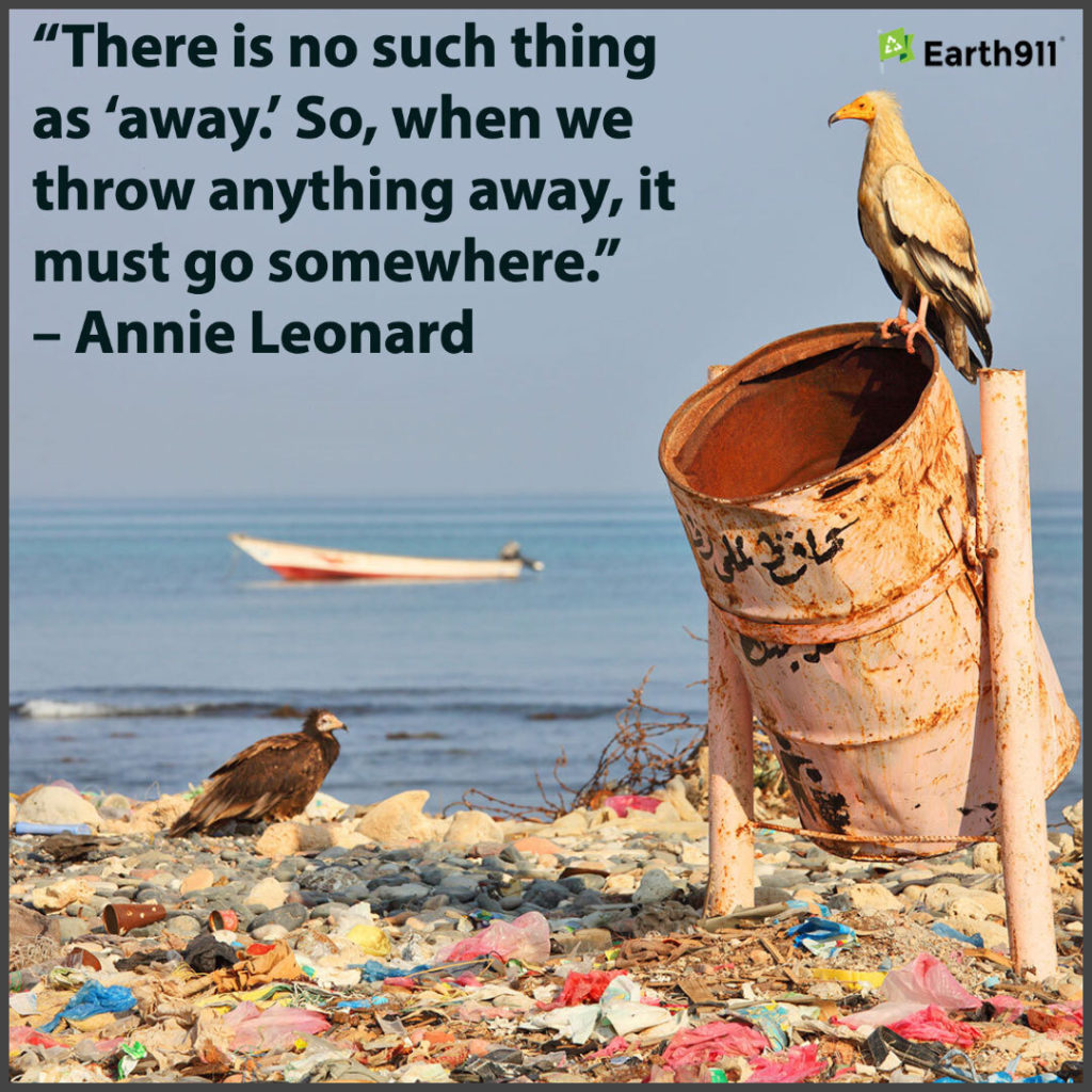 "There is no such thing as 'away.' So, when we throw anything away, it must go somewhere." --Annie Leonard