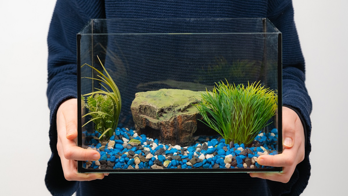 Person holding fish tank with no water or fish