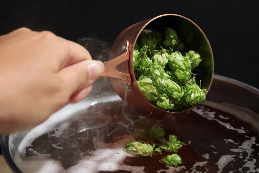 adding fresh hops to beer for homebrewing