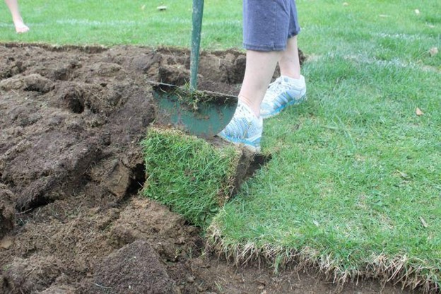 Digging up grass lawn