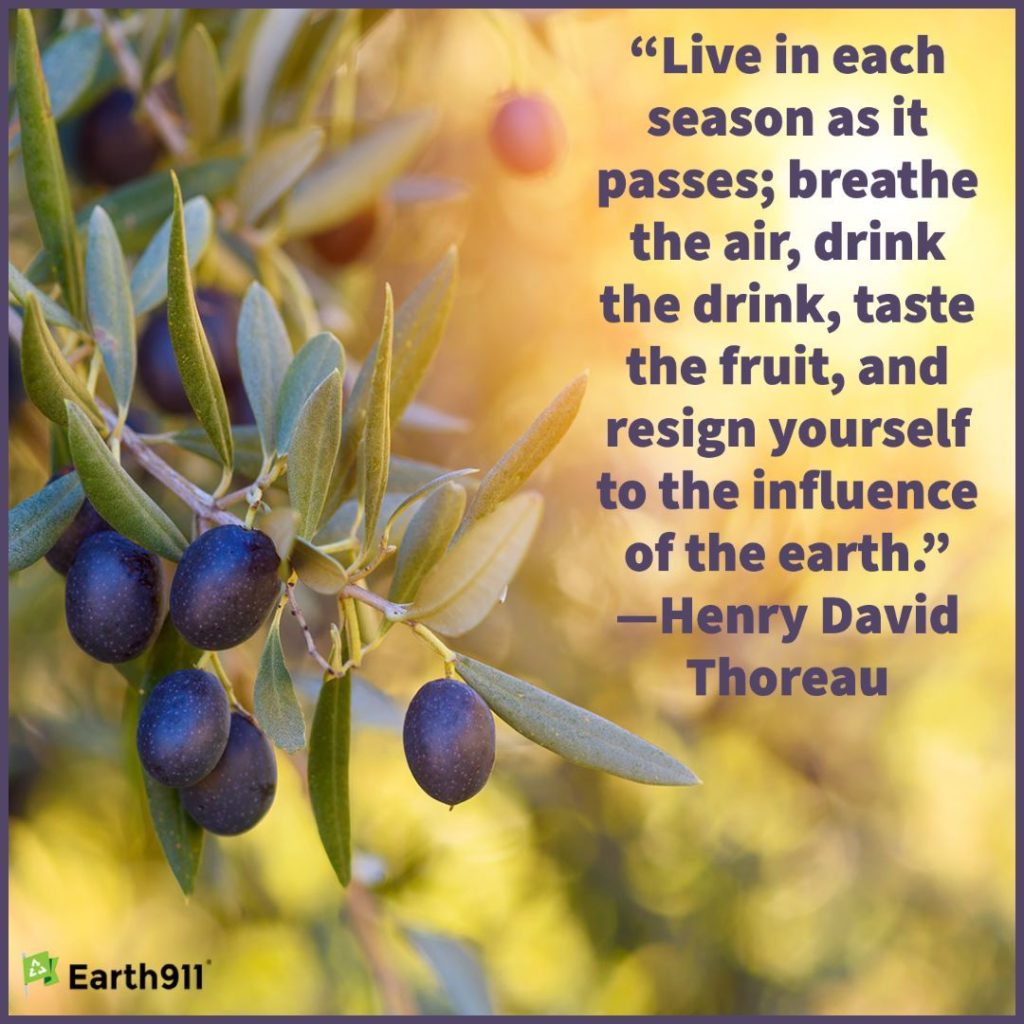 Henry David Thoreau quote: "Live in each season as it passes ..."