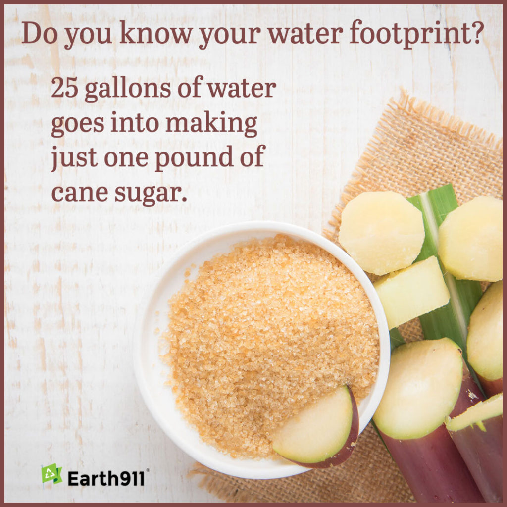 water footprint of cane sugar