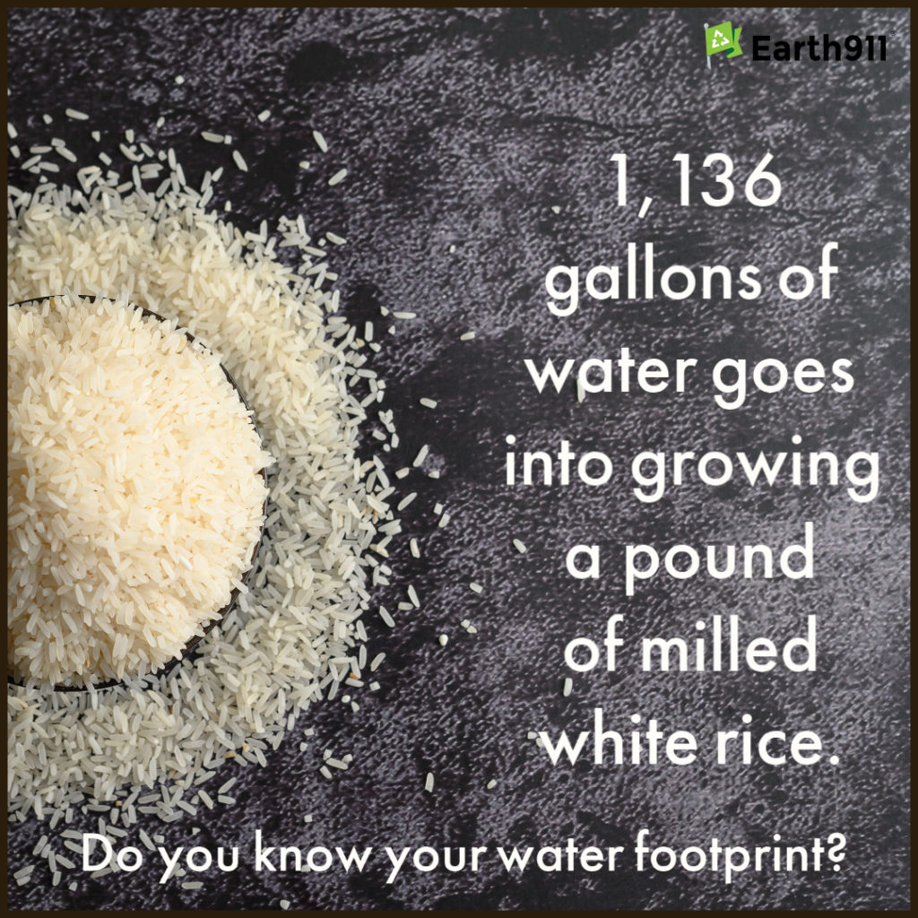 water footprint of one pound of milled white rice