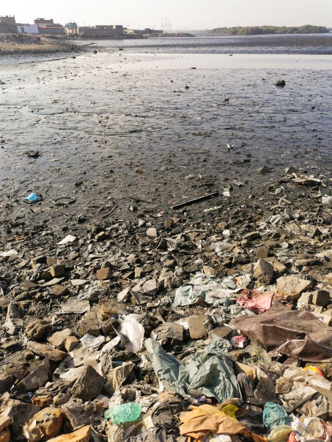 Litter on Karachi city beach.