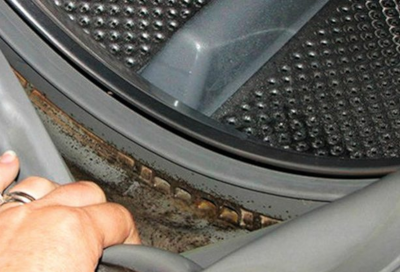 The black mold in the door cover seal of the front-loading washing machine