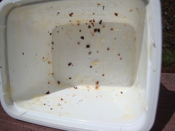 Empty butter tub with residue of butter and crumbs