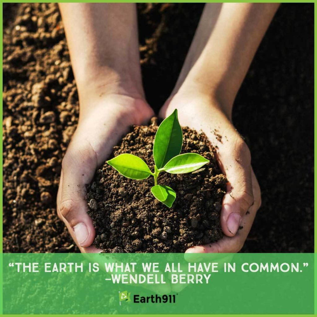 "The Earth is what we all have in common." -- Wendell Berry