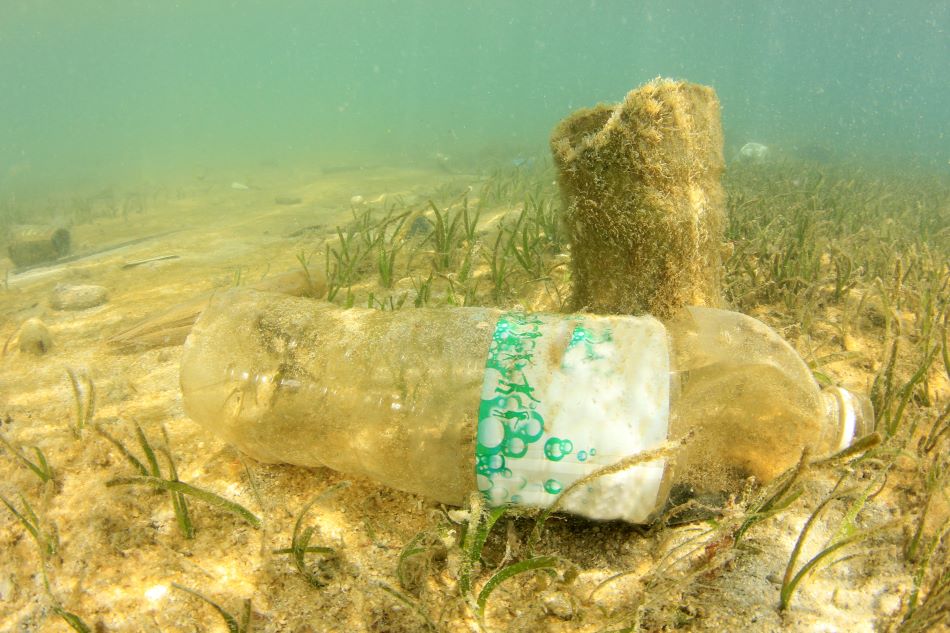 plastic bottle on the ocean floor