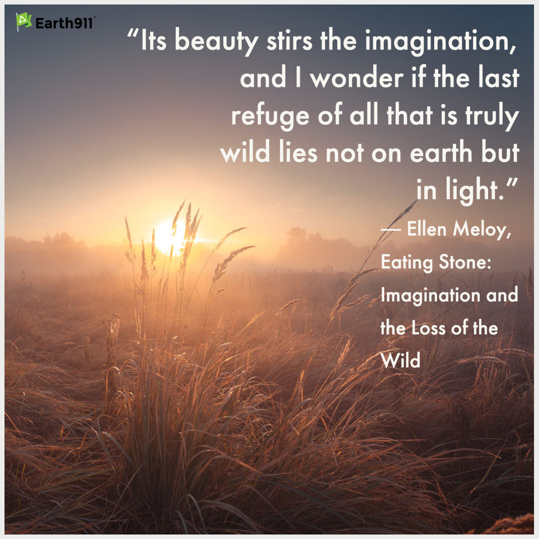 "Its beauty stirs the imagination, and I wonder if the last refuge of all that is truly wild lies not on earth but in light." --Ellen Meloy 