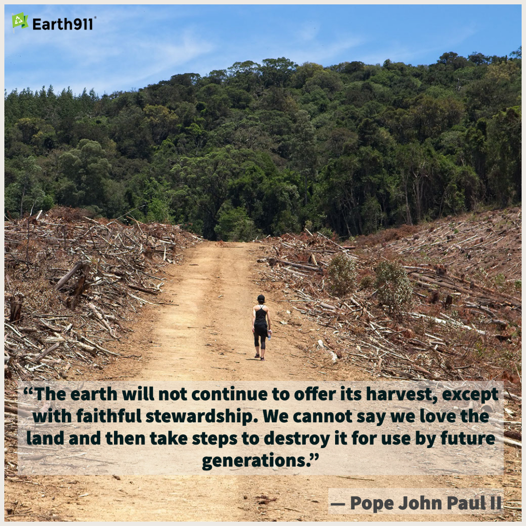 "The earth will not continue to offer its harvest, except with faithful stewardship. We cannot say we love the land and then take steps to destroy it for use by future generations." --Pope John Paul II 