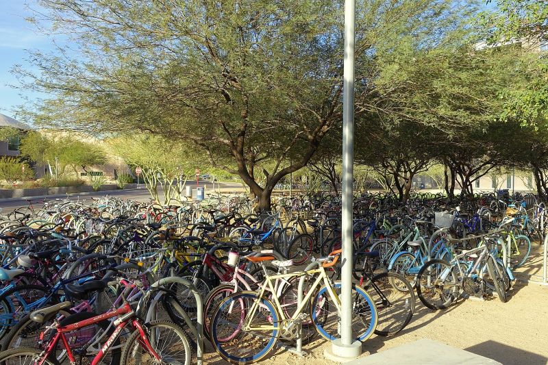 Bicycles on campus of Arizona State University, Tempe