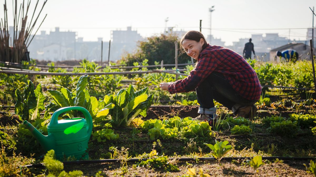 woman gardening in an urban community garden