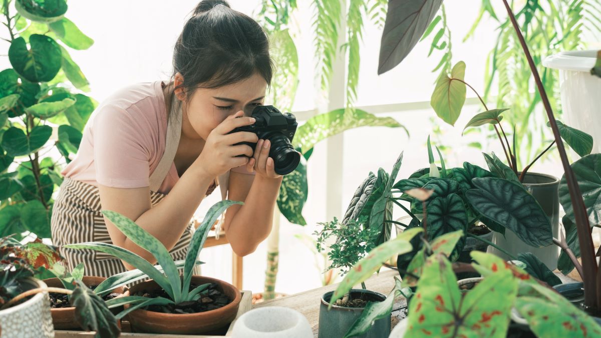 Young woman photographing her houseplants