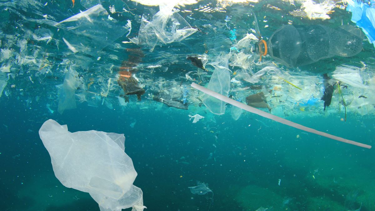 underwater shot of plastic litter in ocean