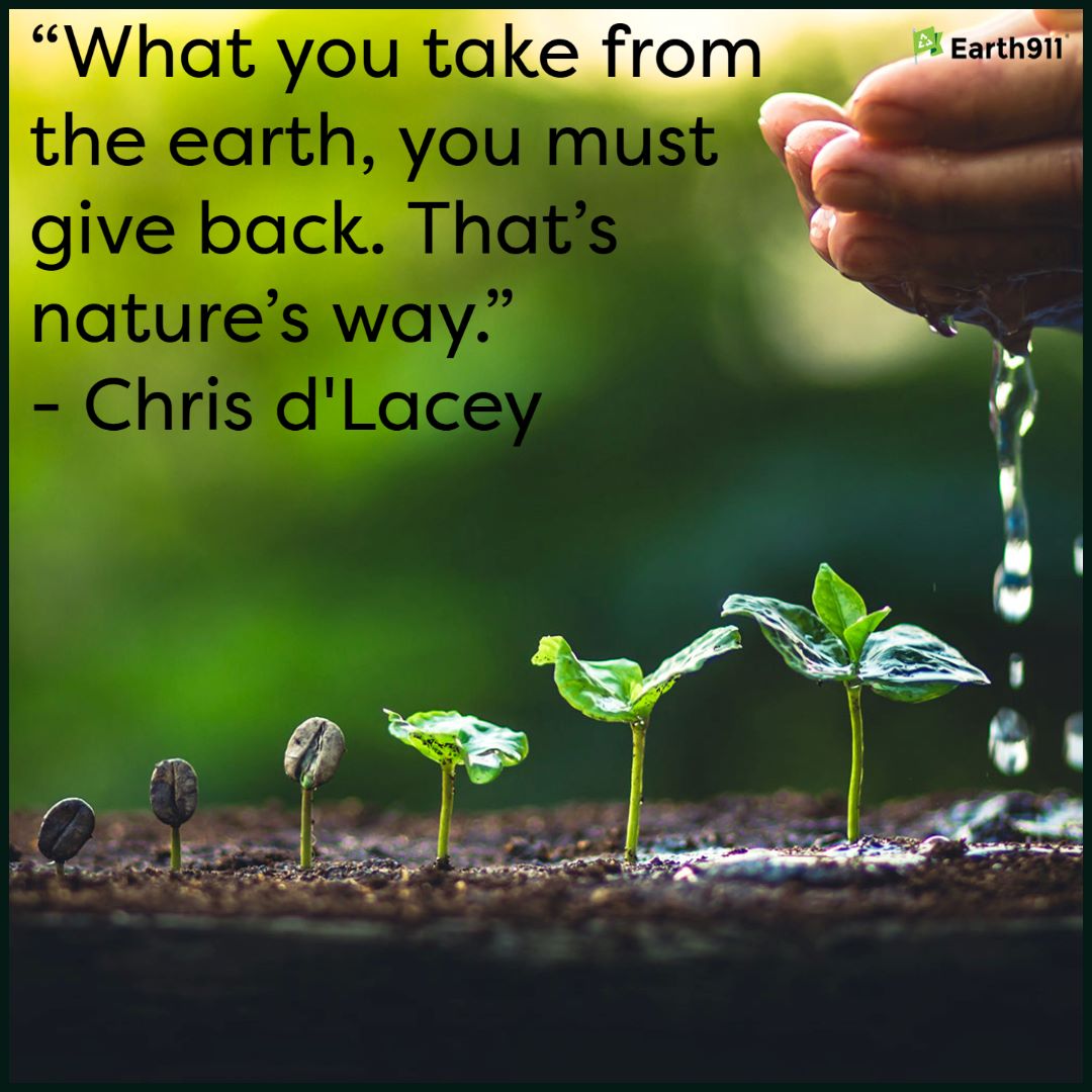 "What you take from the earth, you must give back. That's nature's way." --Chris d'Lacey